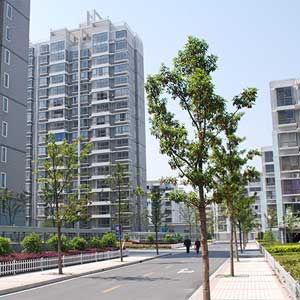 奉浦九華新園