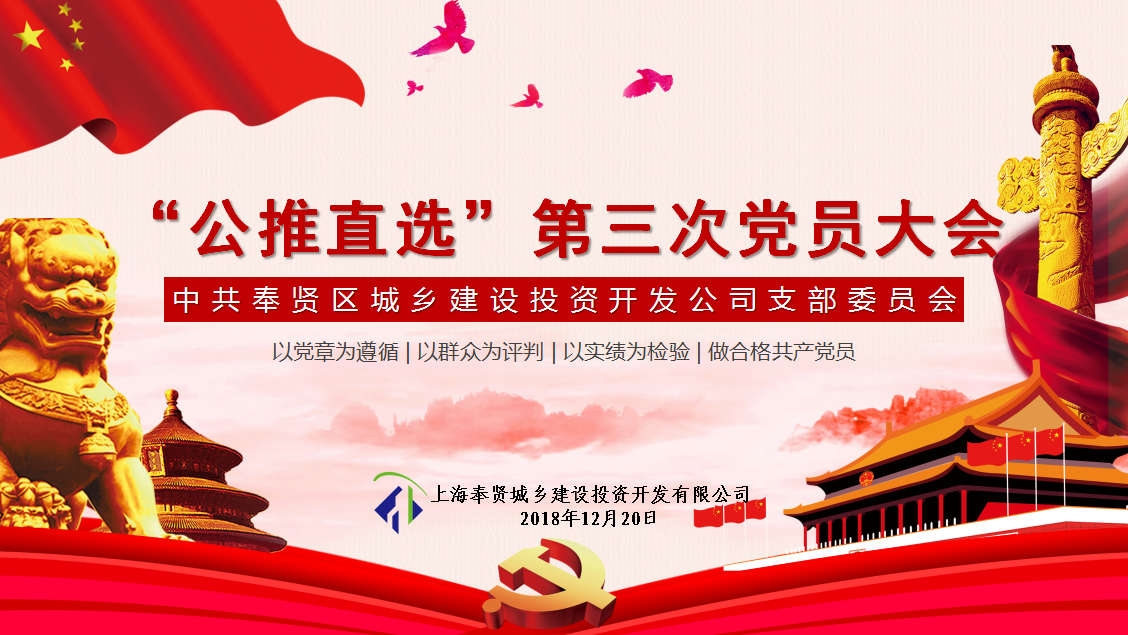 城投公司“公推直選”第三次黨員大會